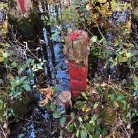 Image for Boundary and Topographic Surveys in South Carolina article